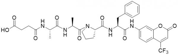 Suc-Ala-Ala-Pro-Phe-AFC - Echelon Biosciences
