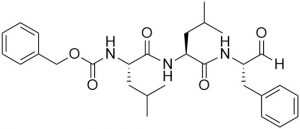 Z-Leu-Leu-Phe-CHO - Echelon Biosciences