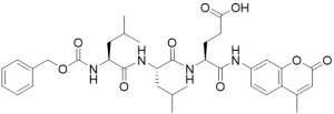 Z-Leu-Leu-Glu-AMC (Proteasome Substrate 2, fluorogenic) - Echelon Biosciences