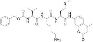Z-Val-Lys-Met-AMC - Echelon Biosciences