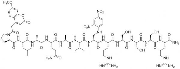 MCA-Pro-Leu-Ala-Gln-Ala-Val-Dap(DNP)-Arg-Ser-Ser-Ser-Arg-NH2 (TNF coverting enzyme substrate) - Echelon Biosciences