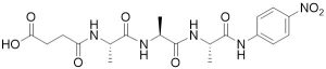 Suc-Ala-Ala-Ala-pNA (Pancreatic Elastase Substrate - Echelon Biosciences