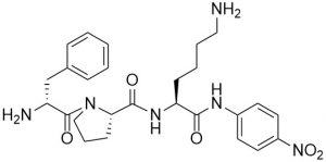 D-Phe-Pro-Lys-pNA - Echelon Biosciences