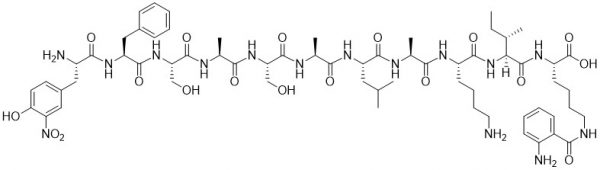 Substrate for E. Coli Leader Peptidase -Echelon Biosciences