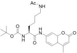 Boc-Lys(Ac)-AMC - Echelon Biosciences