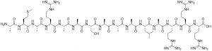 AMARA peptide (AMPK substrate) - Echelon Biosciences