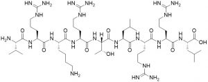 Protein Kinase C Substrate (CAS 105802-82-2) - Echelon Biosciences