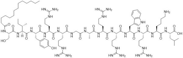 PKC Pseudosubstrate Inhibitor (PKC zeta inhibitor)- Echelon Biosciences