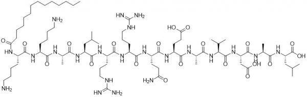 Autocamtide-2 Related Inhibitory Peptide, myristoylated - Echelon Biosciences