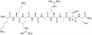 Myosin Light Chain Kinase (11-19) amide - Echelon Biosciences