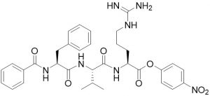 Bz-Phe-Val-Arg-pNA - Echelon Biosciences