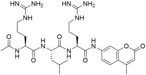 Ac-Arg-Leu-Arg-AMC (CAS 929903-87-7) - Echelon Biosciences