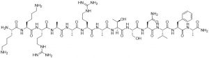 Myosin Light Chain Kinase Substrate