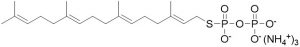 GGSPP - Echelon Biosciences