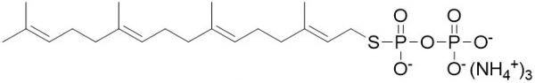 GGSPP - Echelon Biosciences