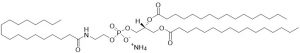 1,2-dipalmitoyl-sn-glycero-3-phosphoethanolamine-N-stearoyl (N-stearoyl-DPPE, Stearoyl NAPE) - Echelon Biosciences