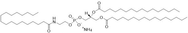 1,2-dipalmitoyl-sn-glycero-3-phosphoethanolamine-N-stearoyl (N-stearoyl-DPPE, Stearoyl NAPE) - Echelon Biosciences