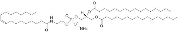 1,2-dipalmitoyl-sn-glycero-3-phosphoethanolamine-N-oleoyl (N-oleoyl-DPPE, Oleoyl-NAPE) - Echelon Biosciences