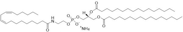 N-Linoleoyl-DPPE, aka Linoleoyl NAPE - Echelon Biosciences