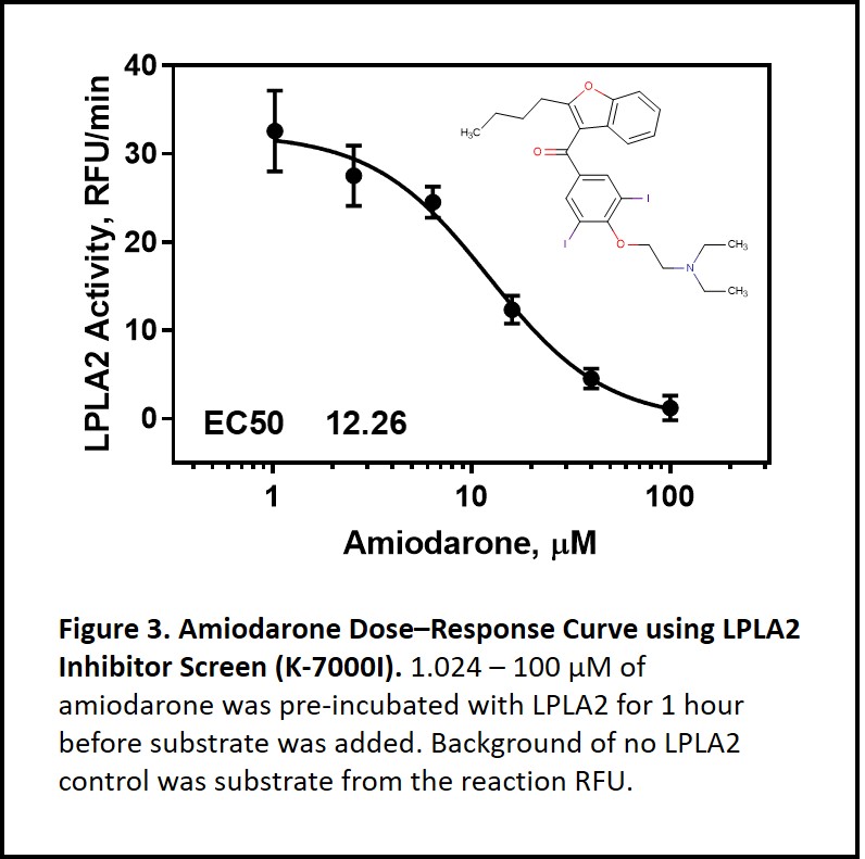 cationic amphiphilic drugs, CAD, amiodarone, LPLA2, lysosomal phospholipidase A2