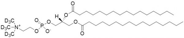 DPPC-d9 (16:0/16:0-PC-d9) - Echelon Biosciences