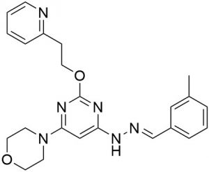 Apilimod (PIKfyve inhibitor) - Echelon Biosciences