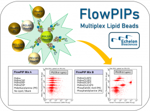 Echelon Biosciences - Flow PIPs: Multiplex Lipid Beads