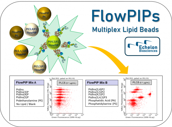 Echelon Biosciences - Flow PIPs: Multiplex Lipid Beads