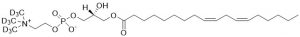 18:2 LysoPC-d9, deuterated lysophosphatidylcholine - Echelon Biosciences