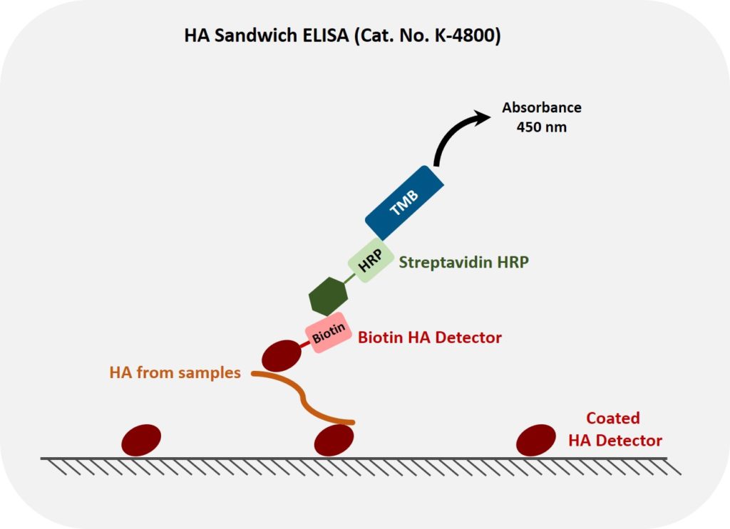 Hyaluronic Acid Assay, Hyaluronan Assay