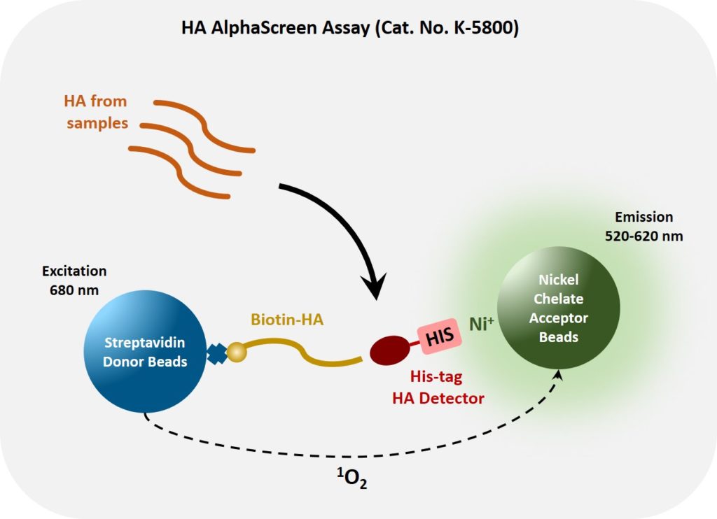 Hyaluronic Acid Assay, Hyaluronan Assay
