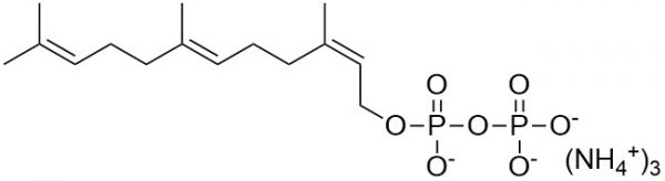 2Z,6E-Farnesyl Diphosphate - Echelon Biosciences
