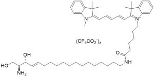 Sphingosine-Cyanine5 (Cy5) - Echelon Biosciences
