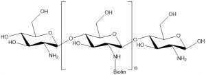 Chitosan-biotin - Echelon Biosciences