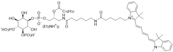 Cyanine 5 PI(4,5)P2, C16 - Echelon Biosciences