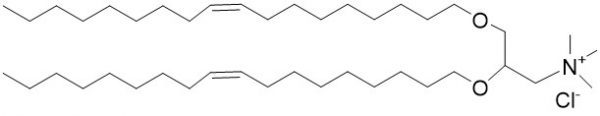 DOTMA - Echelon Biosciences