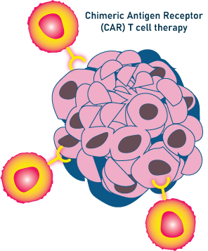 CAR T-cell therapy - Echelon Biosciences