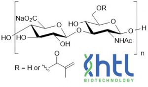 Methacrylated Hyaluronate - Echelon Biosciences