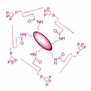 PI(3,4,5)P3 antigen for lipid antibody generation