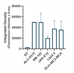 Quantification of GFP mRNA-LNP transfection - Echelon Biosciences