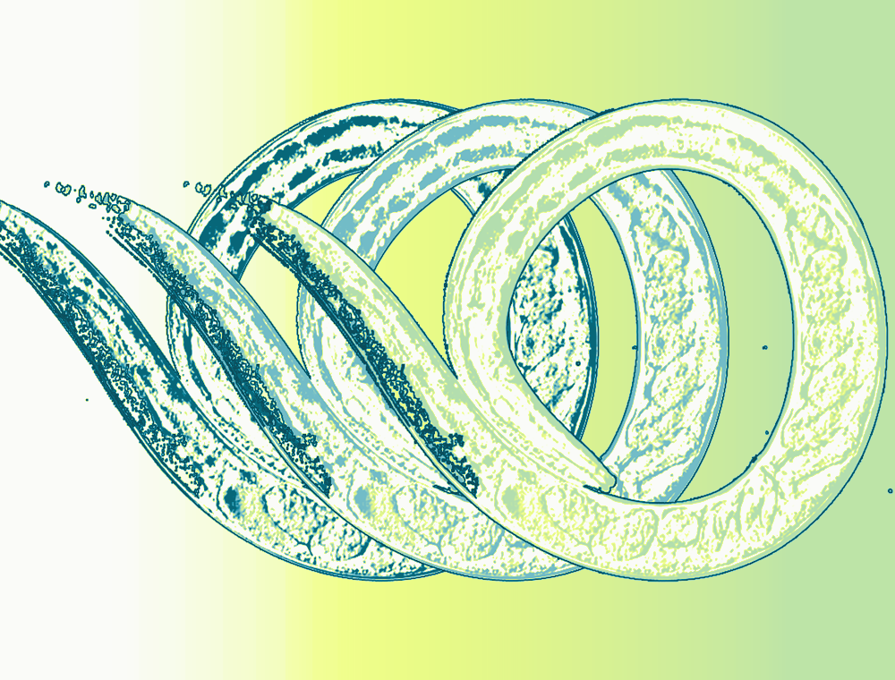 Echelon Biosciences - intergenerational neuroprotection via sphingosine 1-phosphate