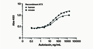 Autotaxin Sandwich ELISA - Echelon Biosciences