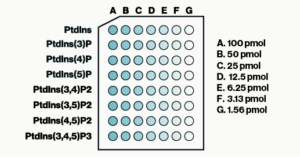 PIP Arrays - Echelon Biosciences