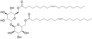 6,6'-trehalose dioleate - Echelon Biosciences