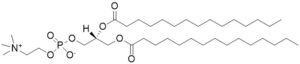 15:0/15:0 PC - Echelon Biosciences
