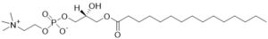 15:0 LysoPC - Echelon Biosciences