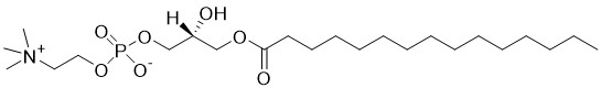 15:0 LysoPC - Echelon Biosciences
