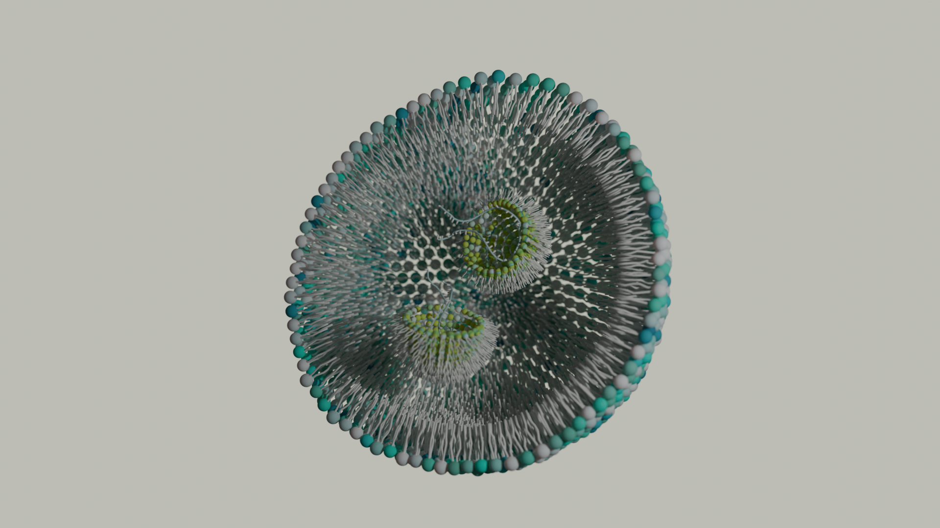 Lipid Nanoparticle Formulation: screening and analysis - Echelon Biosciences