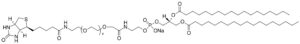 DSPE-PEG2000-Biotin - Echelon Biosciences