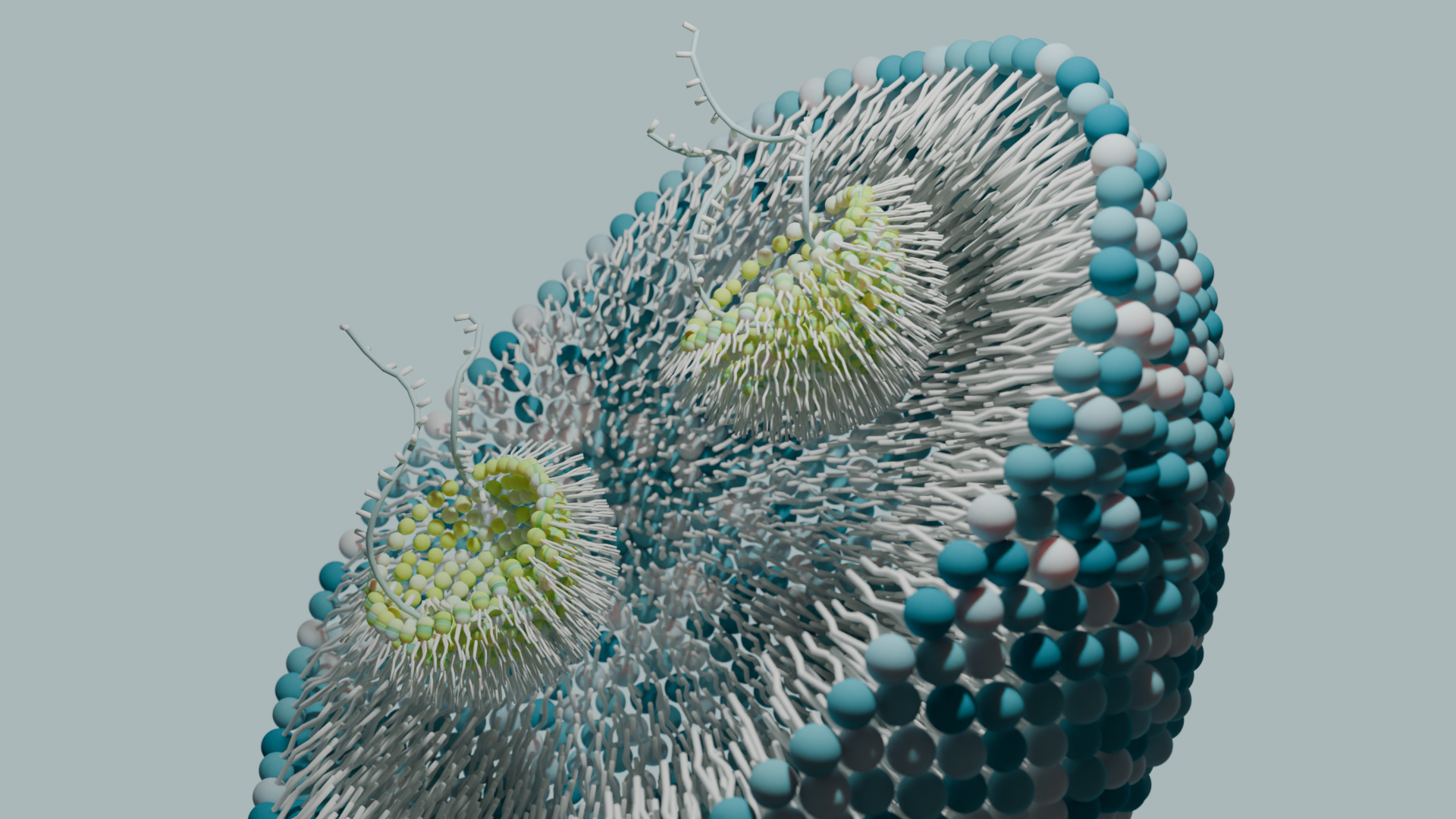 LNP Formulation Services - Echelon Biosciences